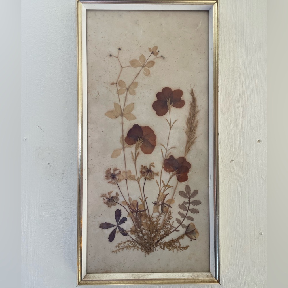 Vintage West Germany pressed flowers